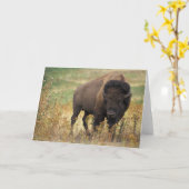 Bison Karte (Gelbe Blume)