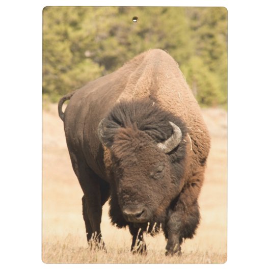 Bison Klemmbrett (Rückseite)