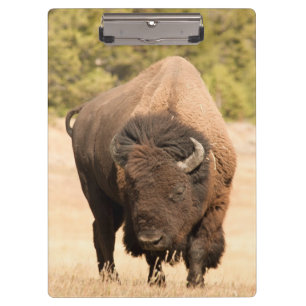 Bison Klemmbrett