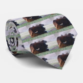 Bison Krawatte (Gerollt)