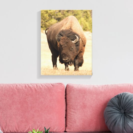 Bison Leinwanddruck (Insitu (Wohnzimmer))