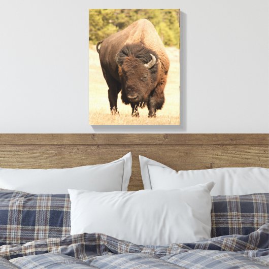 Bison Leinwanddruck (Insitu (Schlafzimmer))