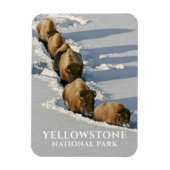 Bison Line Wandern durch tiefes Schnee, Gelbstein Magnet (Vertikal)