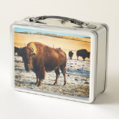 Bison Lunchbox (Rückseite)