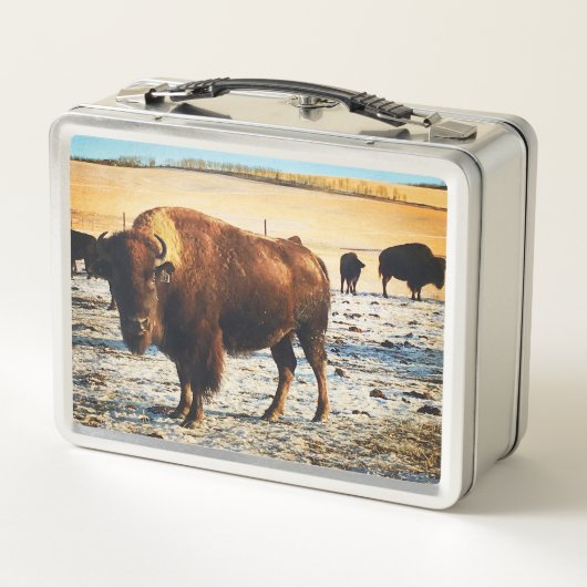 Bison Lunchbox (Rückseite)