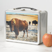 Bison Lunchbox (Beispiel)