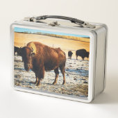 Bison Lunchbox (Vorderseite)