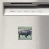 Bison Magnet (In Situ (Geschirrspüler))