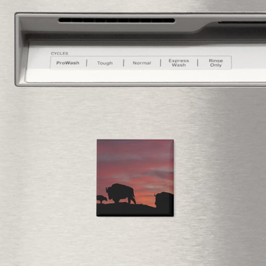 Bison Magnet (In Situ (Geschirrspüler))