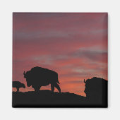 Bison Magnet (Vorne)