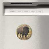 Bison Magnet (In Situ (Geschirrspüler))