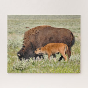 Bison Mama und Baby Design Puzzle