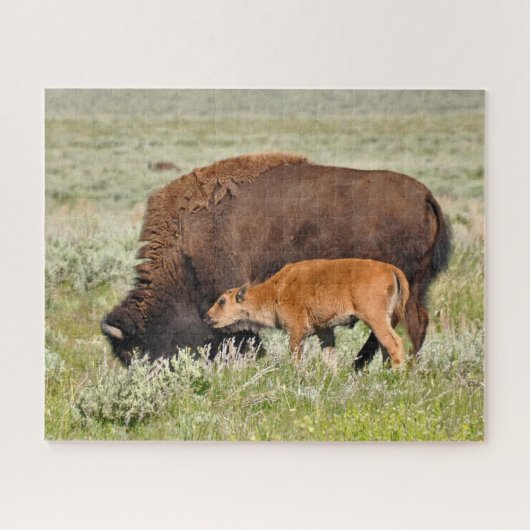 Bison Mama und Baby Design Puzzle (Horizontal)
