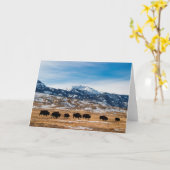 Bison-Migration Karte (Gelbe Blume)