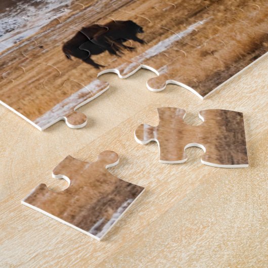 Bison-Migration Puzzle (Seite)