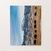 Bison-Migration Puzzle (Vertikal)