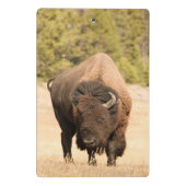 Bison Mini Klemmbrett (Rückseite)