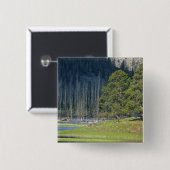 Bison mit Kalb im Yellowstone Nationalpark Button (Vorne & Hinten)