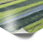 Bison mit Kalb im Yellowstone Nationalpark Fotodruck (Ecke)