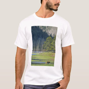 Bison mit Kalb im Yellowstone-Nationalpark T-Shirt