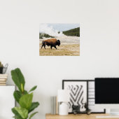 Bison mit Old Faithness in Yellowstone Poster (Heimbüro)