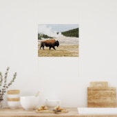 Bison mit Old Faithness in Yellowstone Poster (Küche)