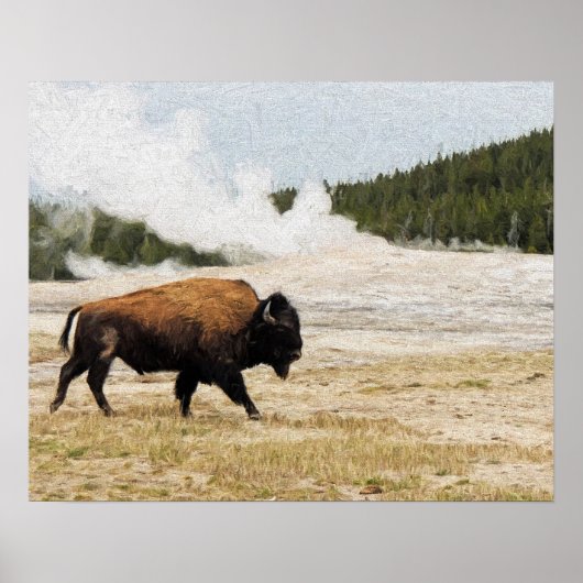 Bison mit Old Faithness in Yellowstone Poster (Vorne)