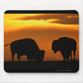 Bison Mousepad