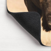 Bison Mousepad (Ecke)