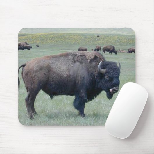 Bison Mousepad (Mit Mouse)