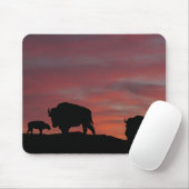 Bison Mousepad (Mit Mouse)