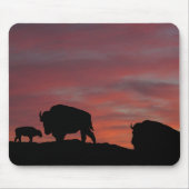 Bison Mousepad (Vorne)