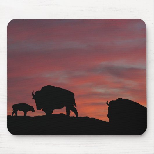 Bison Mousepad (Vorne)