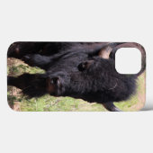 Bison Nah Up iPhone Fälle Case-Mate iPhone Hülle (Rückseite (Horizontal))
