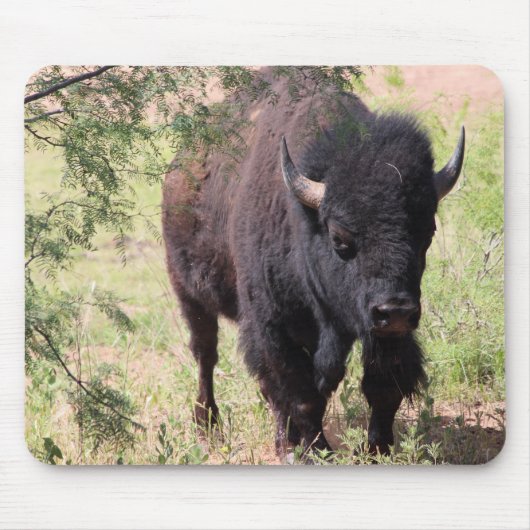 Bison Nah up Mousepad (Vorne)