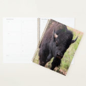Bison Nah up Planer (Anzeige)