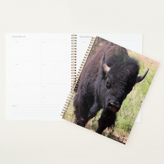 Bison Nah up Planer (Anzeige)