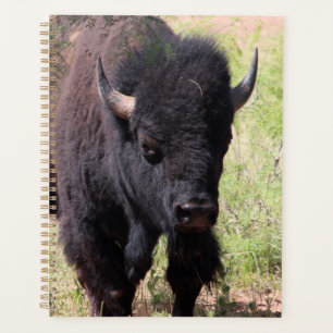 Bison Nah up Planer