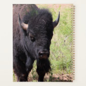 Bison Nah up Planer (Rückseite)