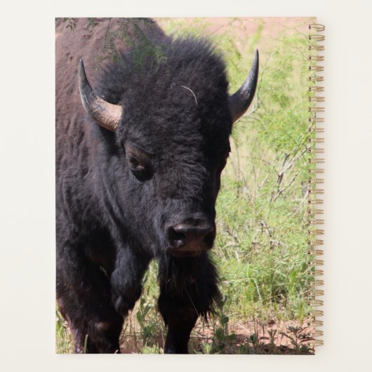 Bison Nah up Planer (Rückseite)