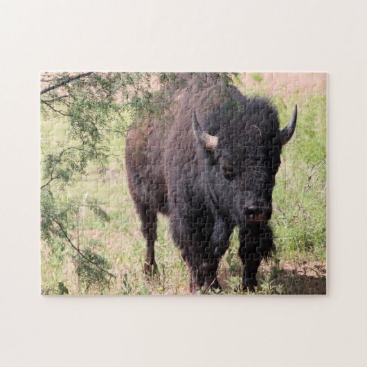 Bison Nah up Puzzle (Horizontal)