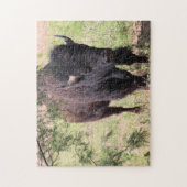Bison Nah up Puzzle (Vertikal)