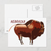 Bison Nebraska-Postkarte Postkarte (Vorne/Hinten)