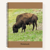 Bison-Notebook