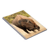 Bison Notizblock (Rechte Seite)