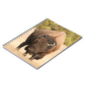 Bison Notizblock (Linke Seite)