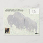 Bison-Paarweide in Montana Postkarte (Rückseite)