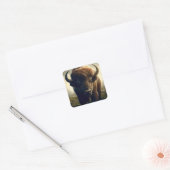 Bison Painting Quadratischer Aufkleber (Umschlag)