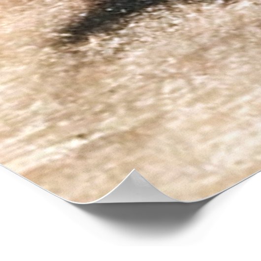 Bison Pictograph, 9 Mile Canyon, Utah Poster (Ecke)