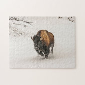 Bison Plodding Through Snow - 252 Stück Puzzle (Horizontal)